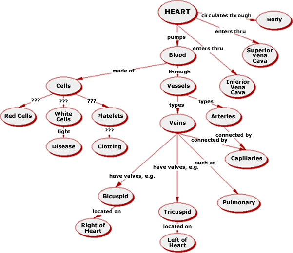 circulatory system images. Human Circulatory System