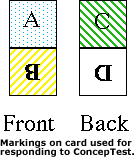 A rectangular card divided into 2 equal squares.  In the top square is the letter A and the letter B on the bottom square upside down.  Similarly, there is the letter C and D in the back side.  Each of the 4 squares is colored differently.