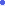 Blue bullet for a list of items
